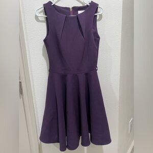 Elegant Purple Womens Dress